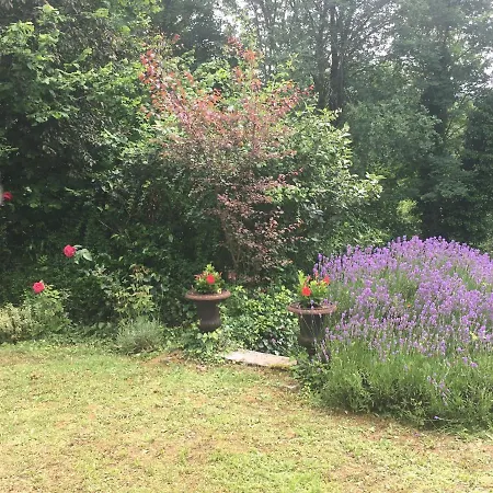 Сasa de vacaciones Maison Cosy Dans Village Historique Coucy-le-Château-Auffrique