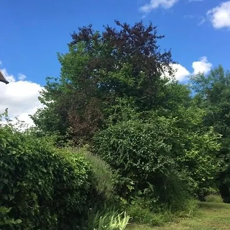Сasa de vacaciones Maison Cosy Dans Village Historique Coucy-le-Château-Auffrique
