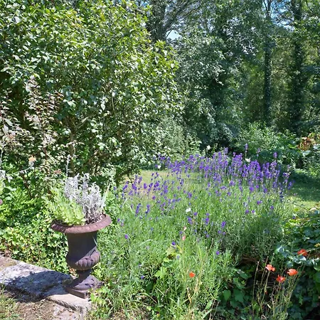 Сasa de vacaciones Maison Cosy Dans Village Historique
