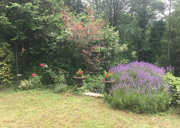 Holiday home Maison Cosy Dans Village Historique Coucy-le-Chateau-Auffrique